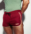 The Cameo Shorts | Burgundy