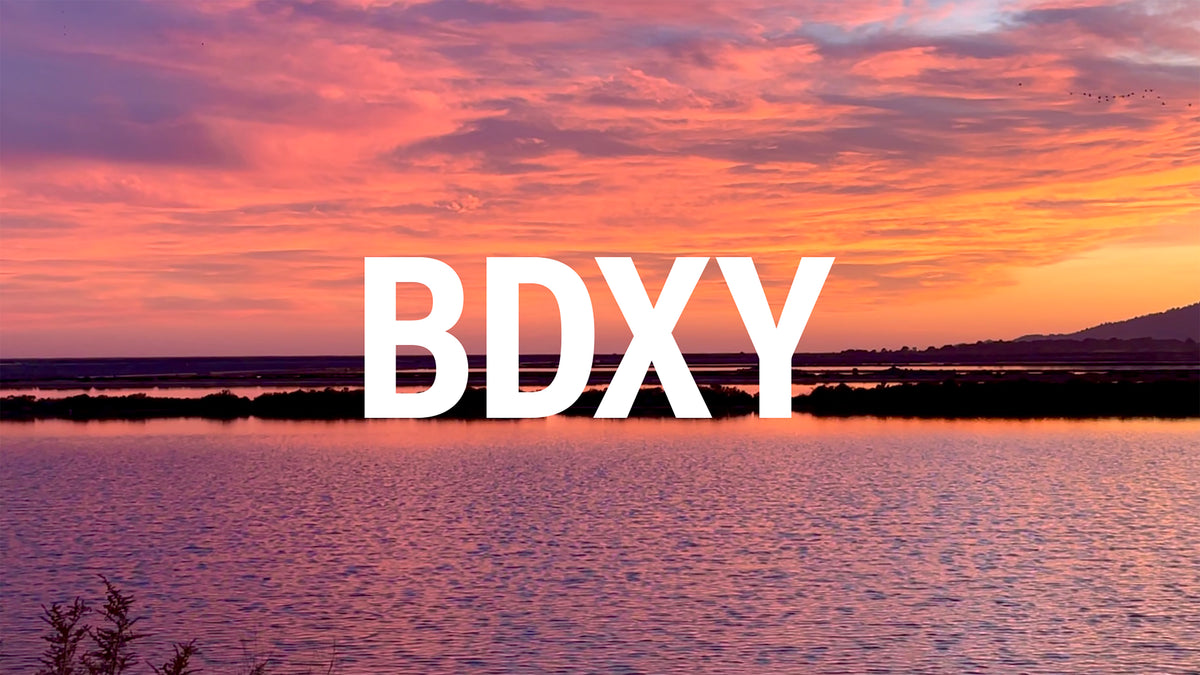 About us – BDXY Studios
