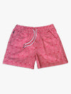 "The Frame" Swimshorts | Fret