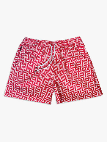 "The Frame" Swimshorts | Fret