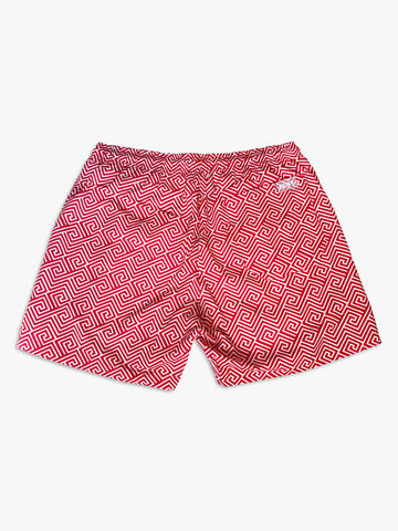 "The Frame" Swimshorts | Fret