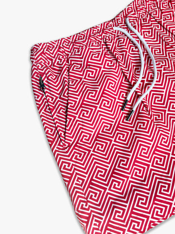 "The Frame" Swimshorts | Fret