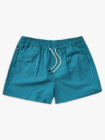 "The Frame" Swimshorts | Hive
