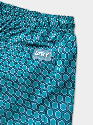 "The Frame" Swimshorts | Hive
