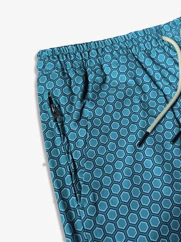 "The Frame" Swimshorts | Hive